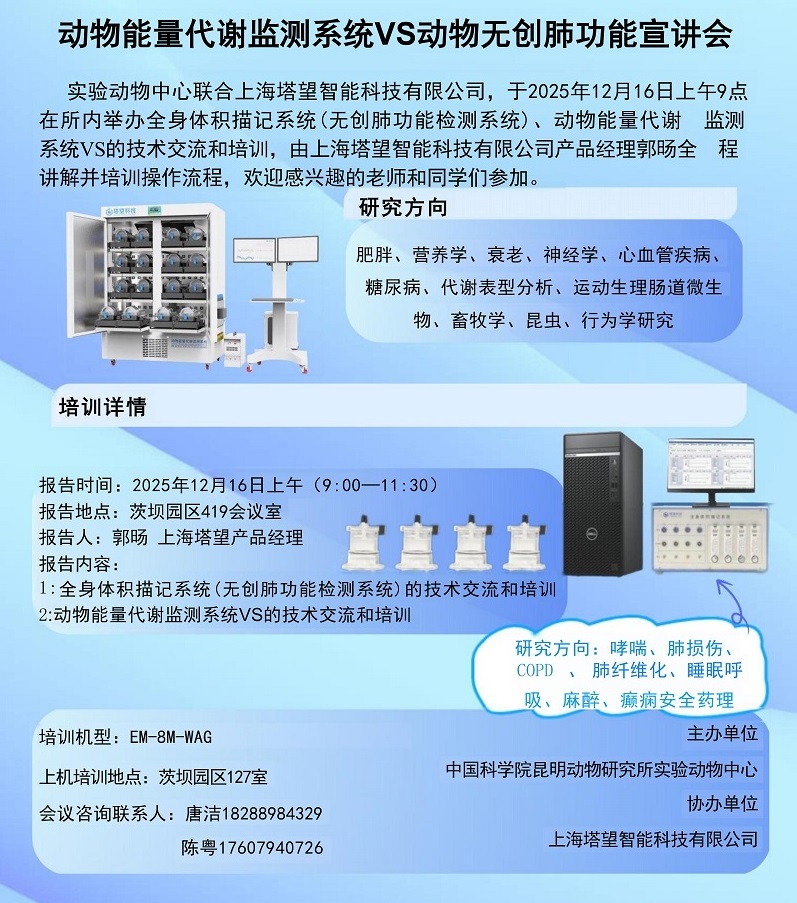电子游戏app下载安装