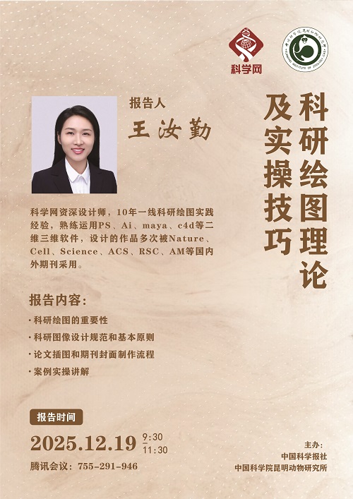 电子游戏app下载安装