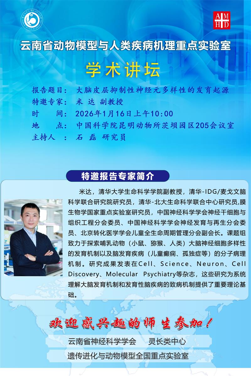 电子游戏app下载安装