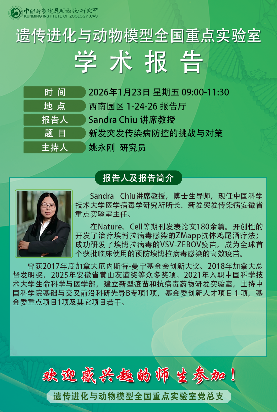 电子游戏app下载安装