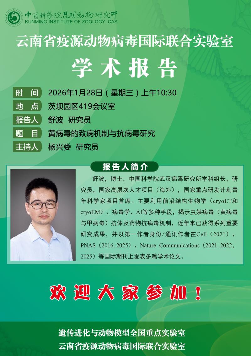 电子游戏app下载安装