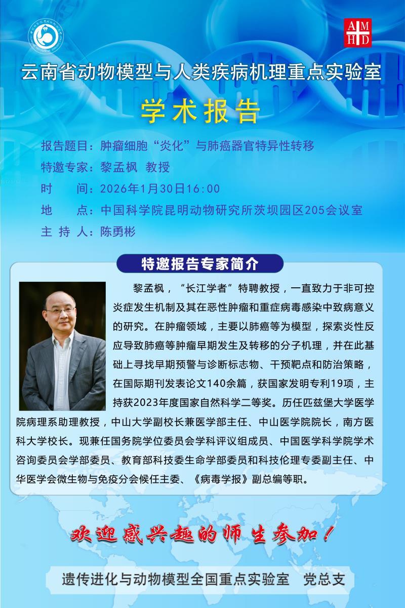 电子游戏app下载安装