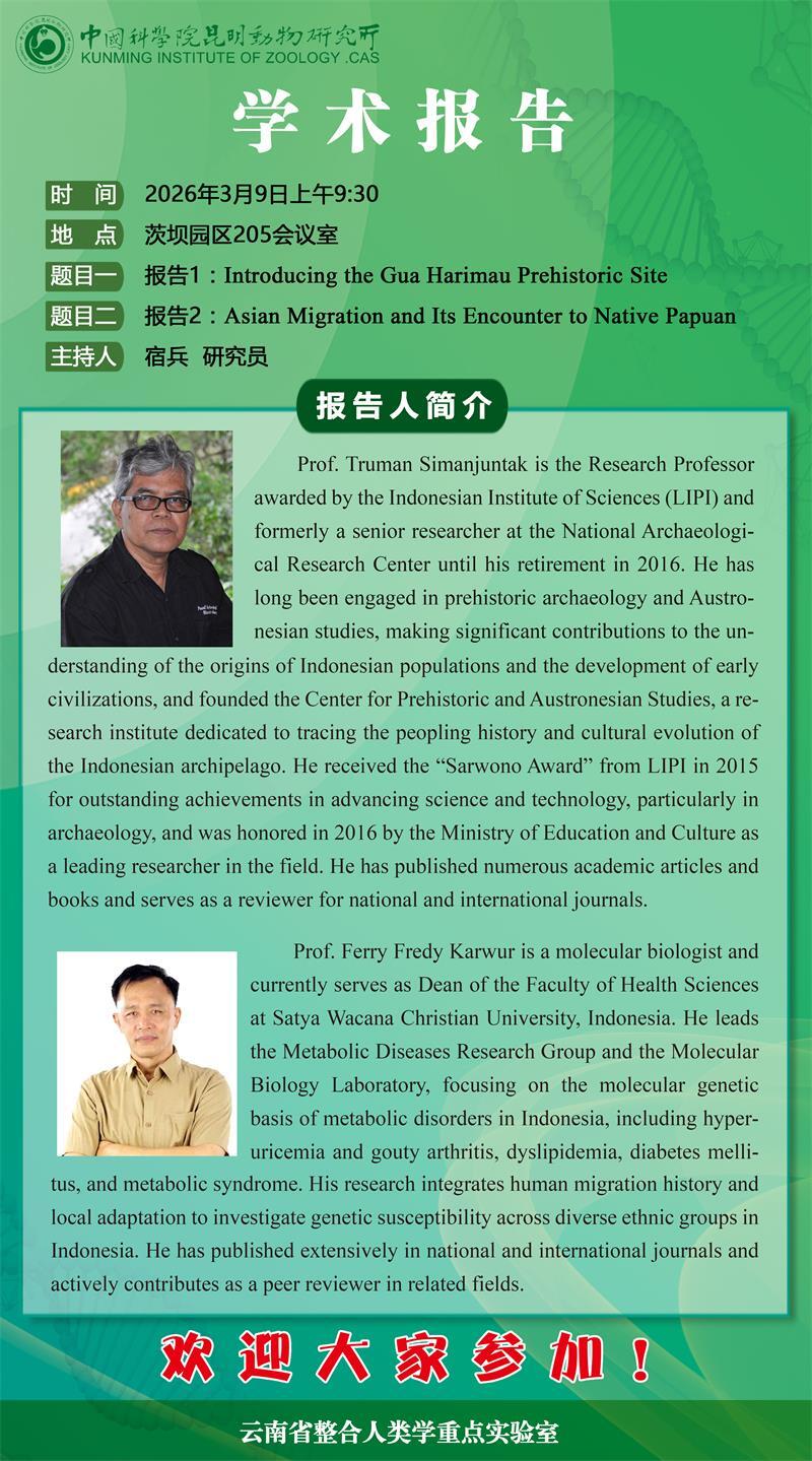 电子游戏app下载安装