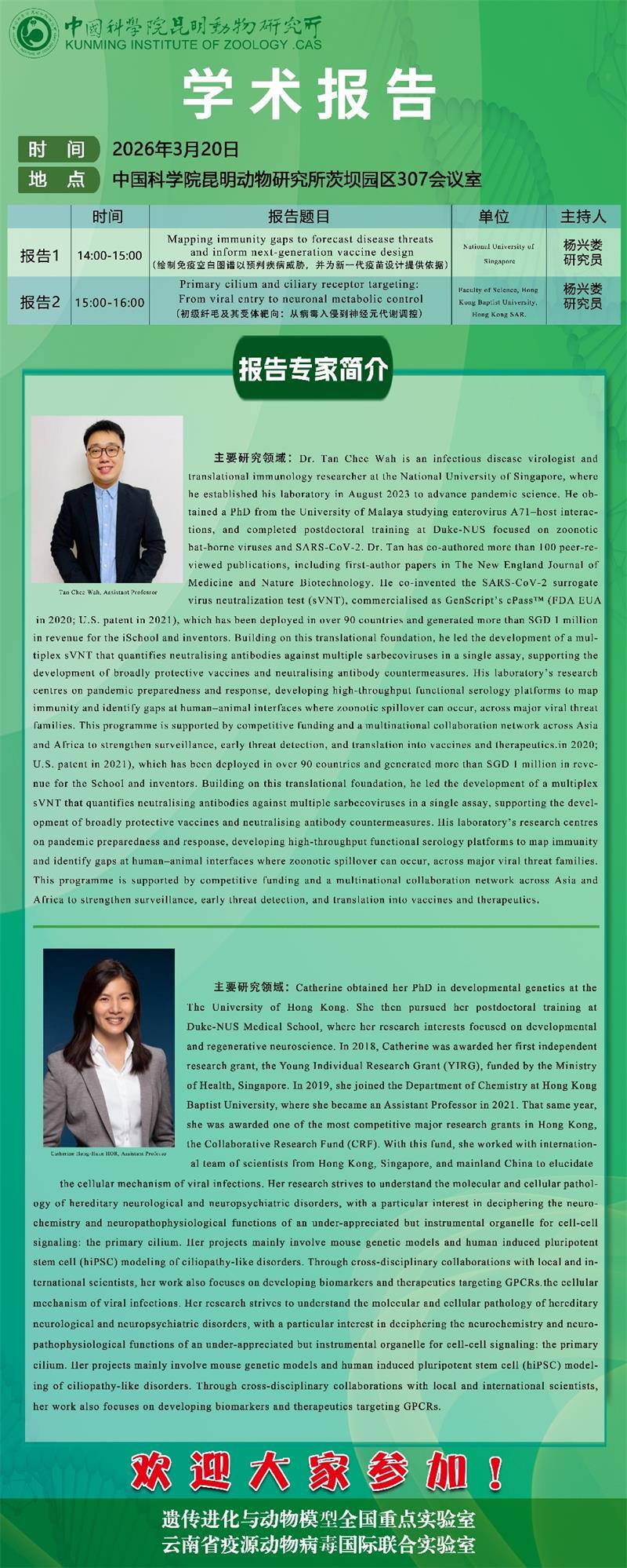 电子游戏app下载安装