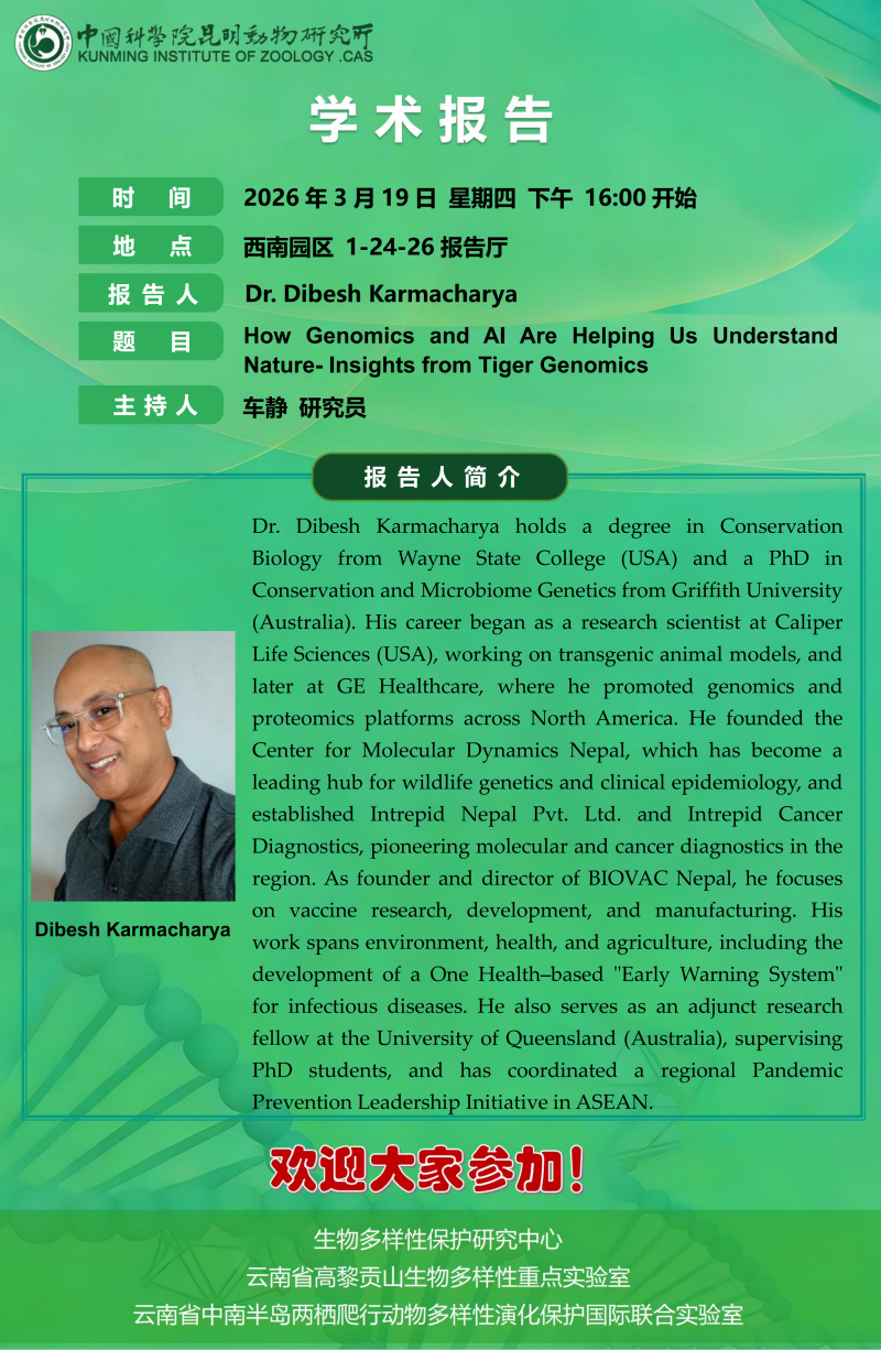 电子游戏app下载安装