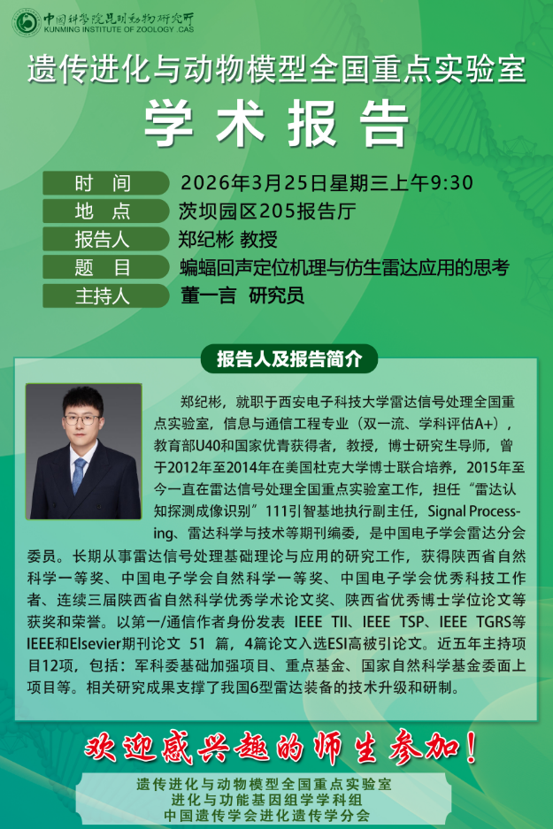 电子游戏app下载安装