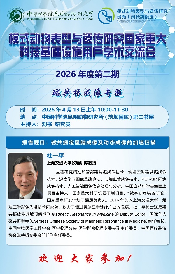 电子游戏app下载安装