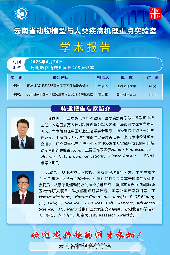 电子游戏app下载安装