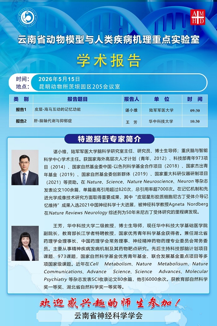 电子游戏app下载安装