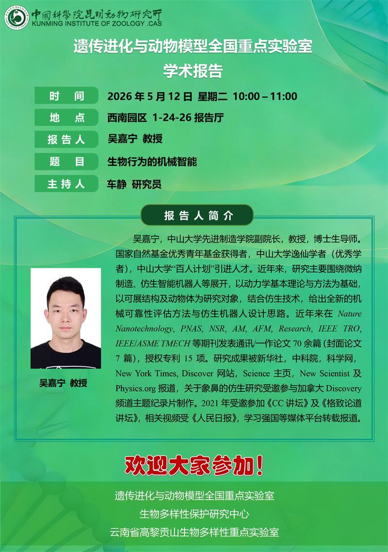 电子游戏app下载安装