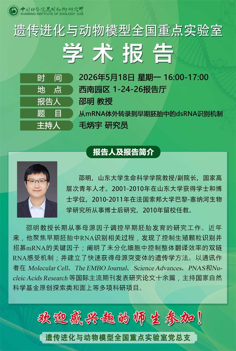 电子游戏app下载安装