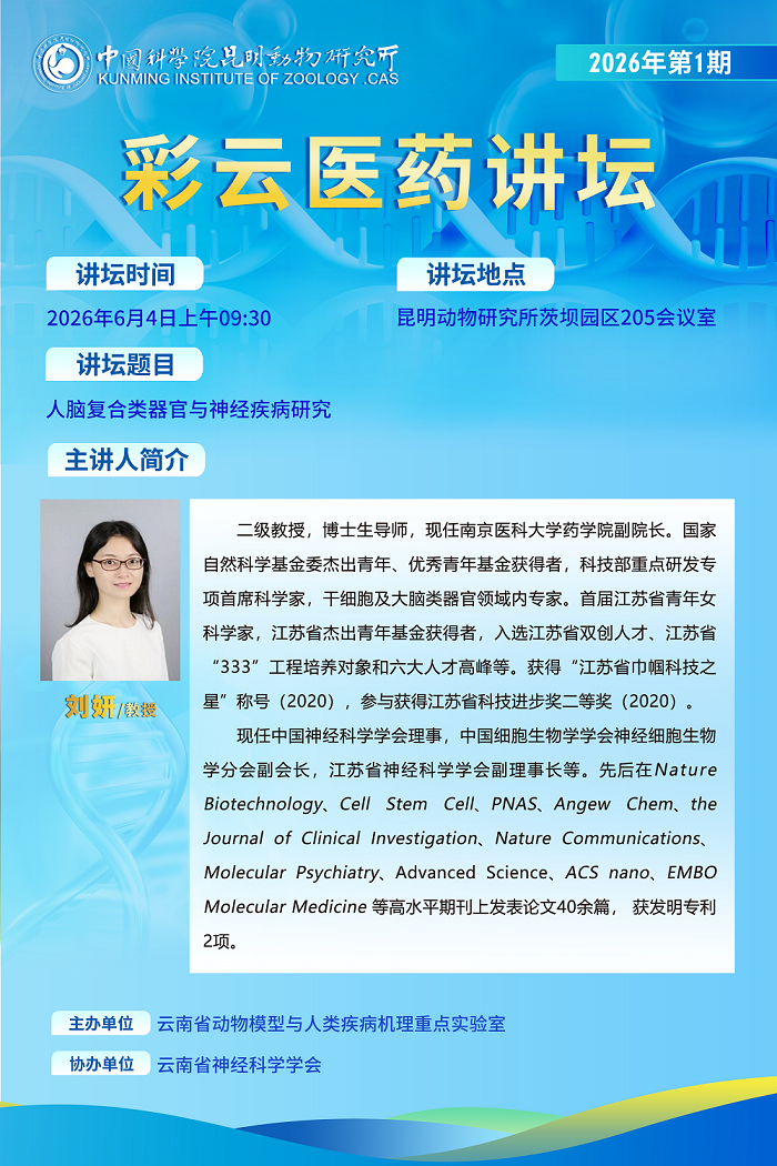 电子游戏app下载安装