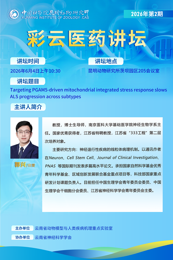 电子游戏app下载安装