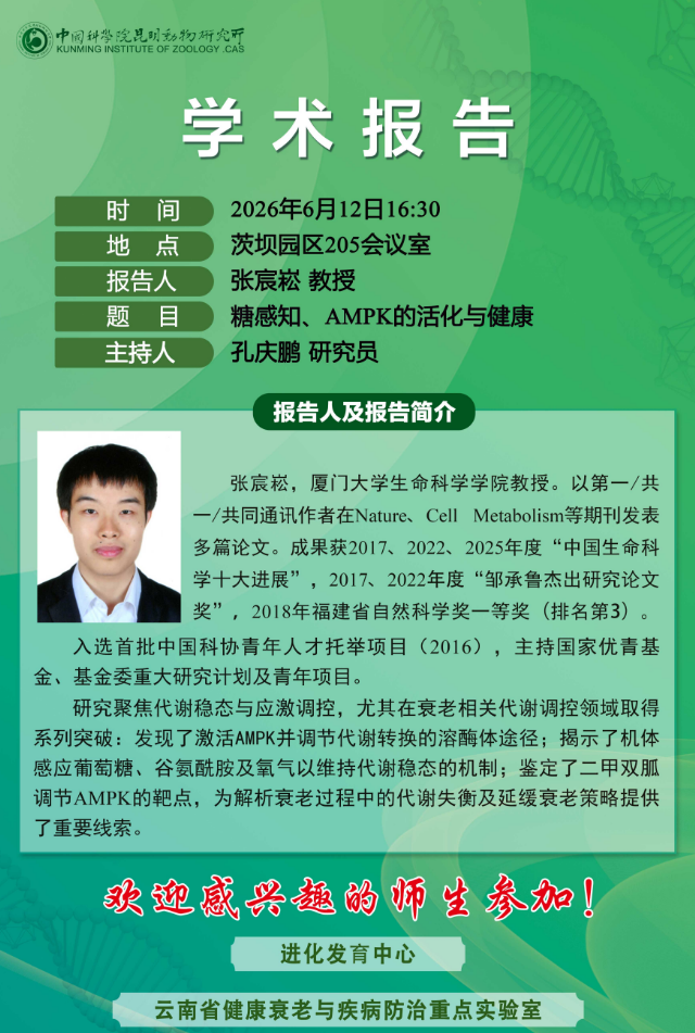 电子游戏app下载安装