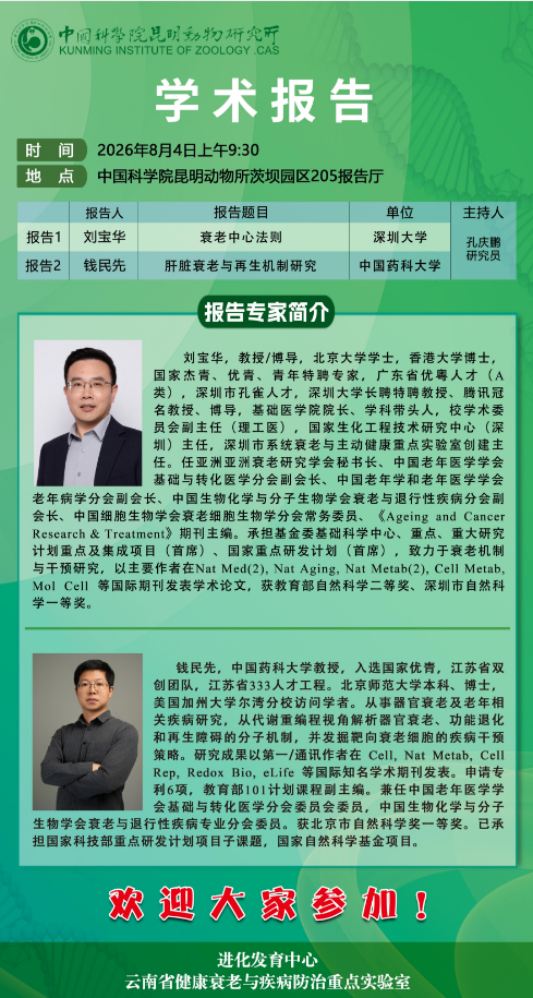 电子游戏app下载安装
