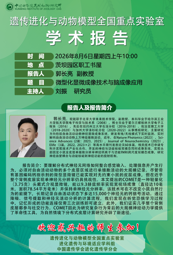 电子游戏app下载安装