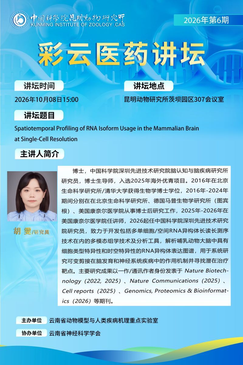 电子游戏app下载安装