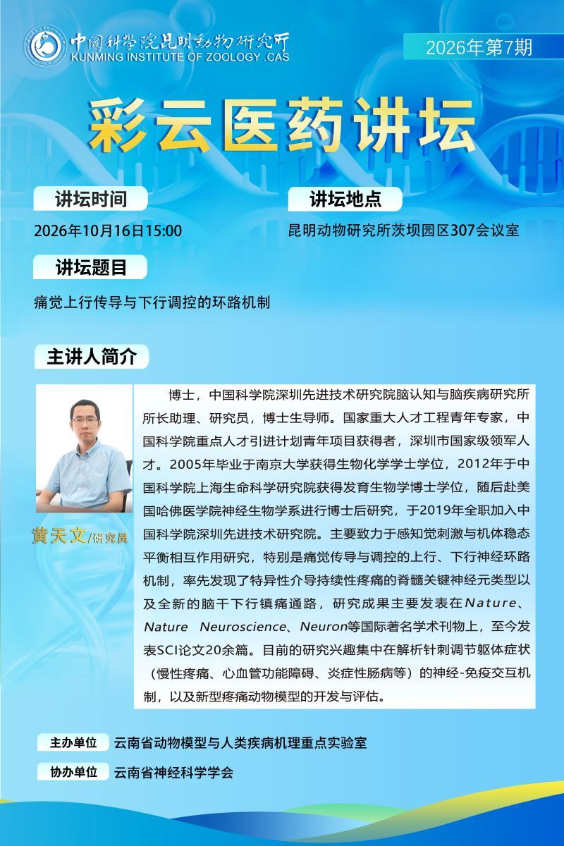 电子游戏app下载安装