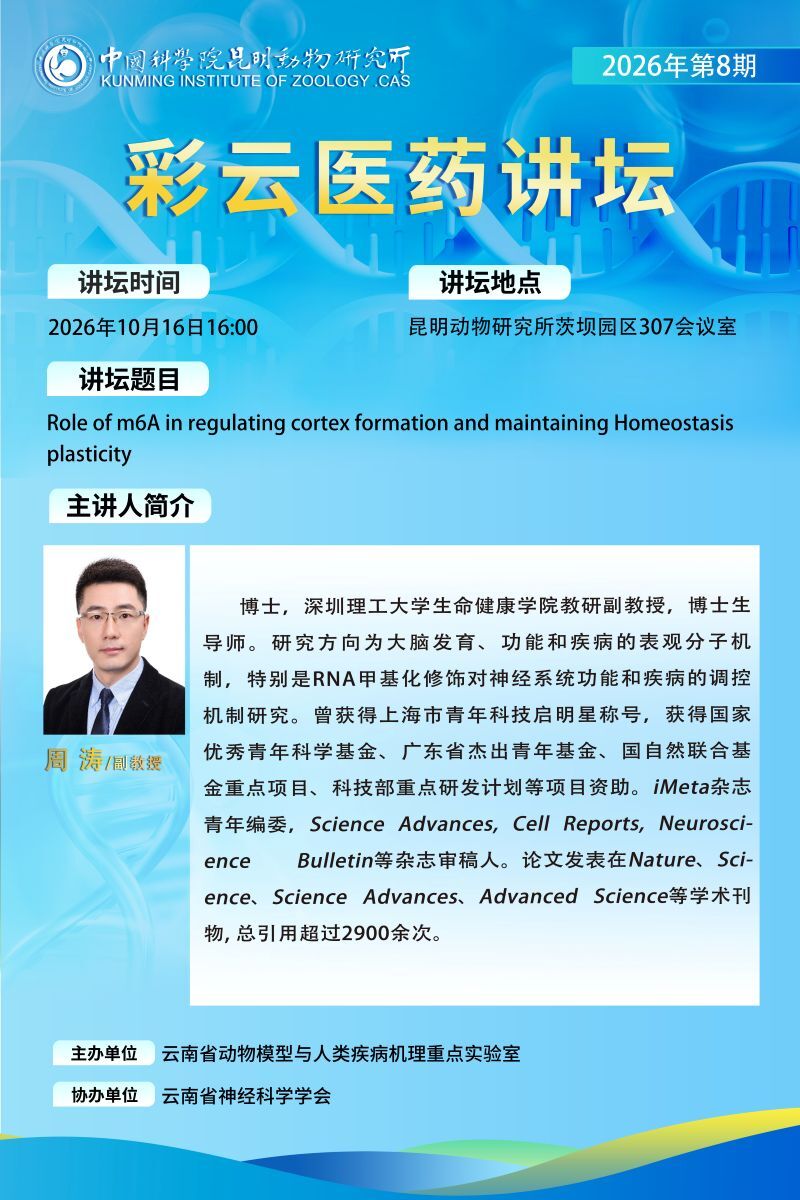 电子游戏app下载安装
