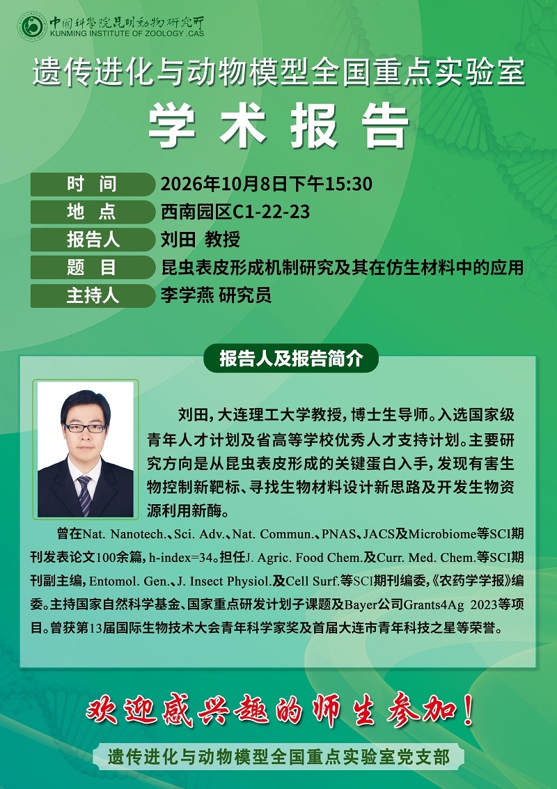 电子游戏app下载安装