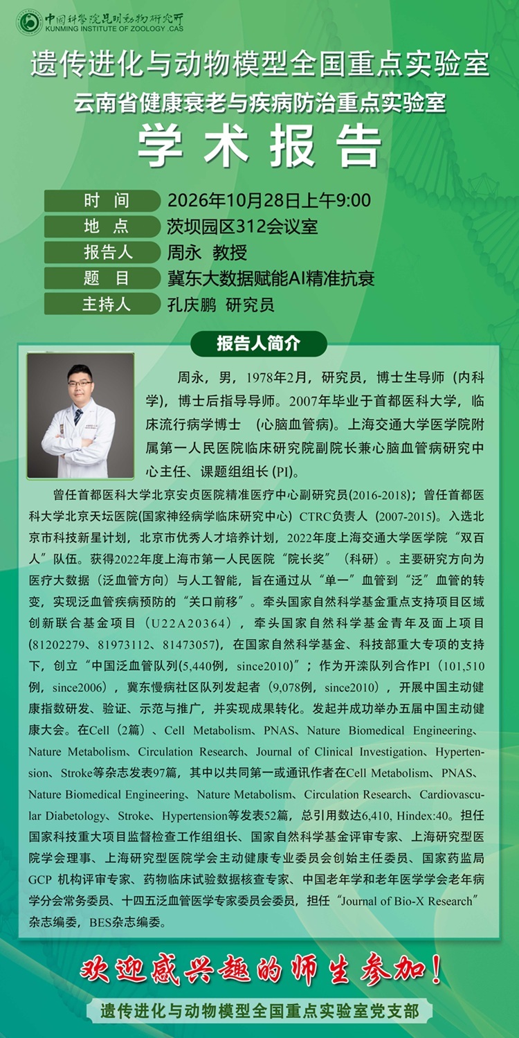 电子游戏app下载安装