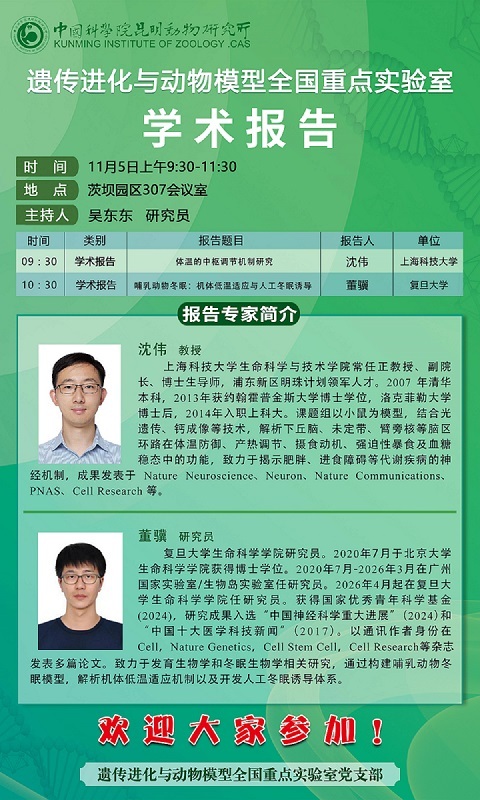 电子游戏app下载安装
