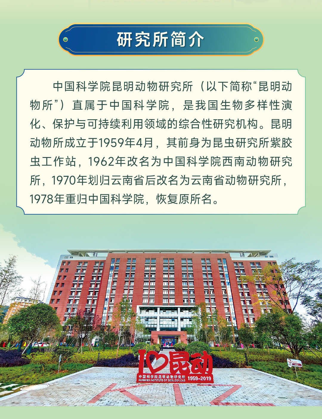 电子游戏app下载安装