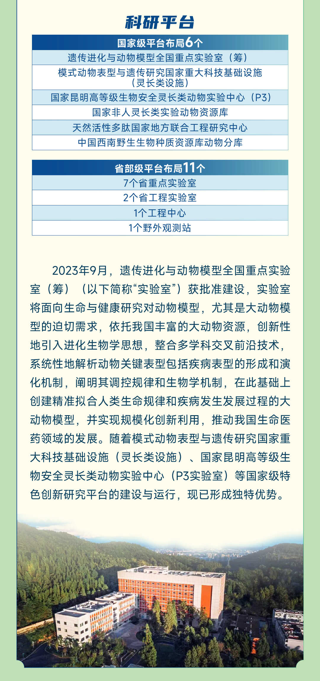 电子游戏app下载安装