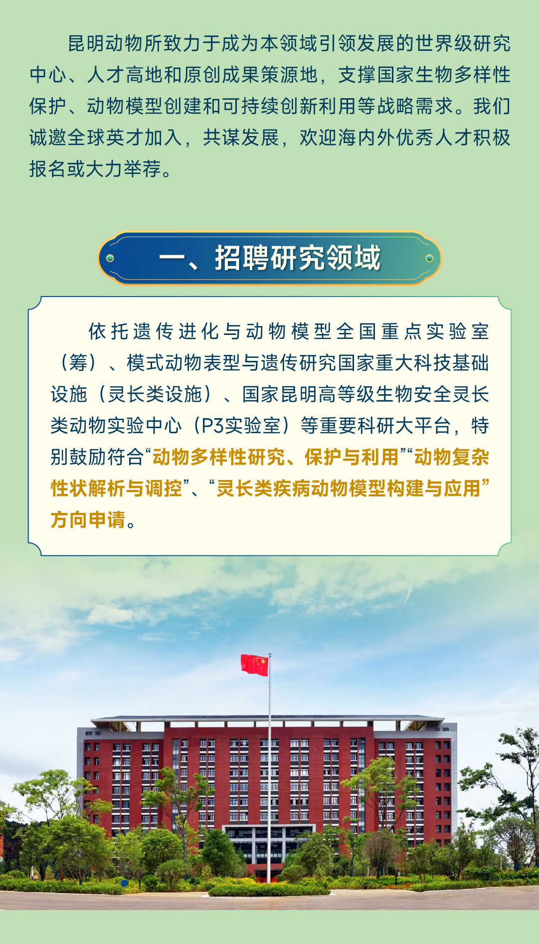 电子游戏app下载安装