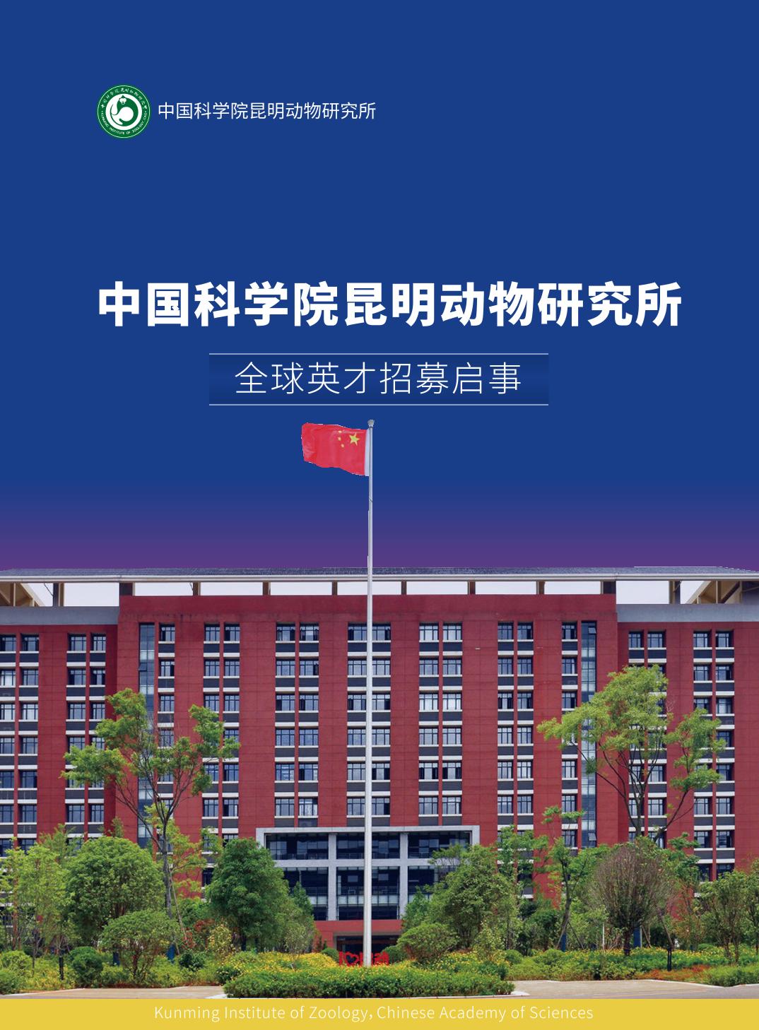 电子游戏app下载安装