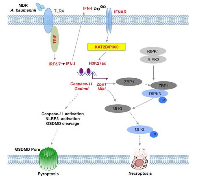 电子游戏app下载安装
