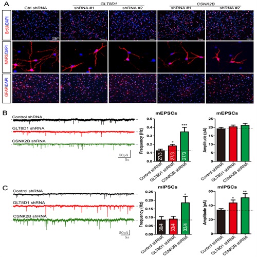 电子游戏app下载安装
