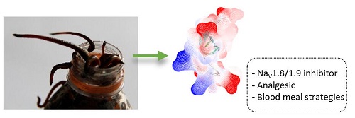 电子游戏app下载安装