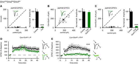 电子游戏app下载安装