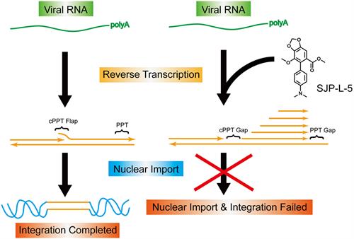 电子游戏app下载安装