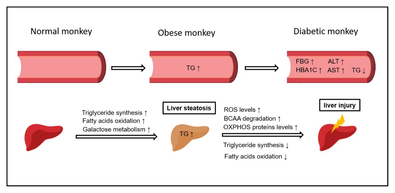 电子游戏app下载安装