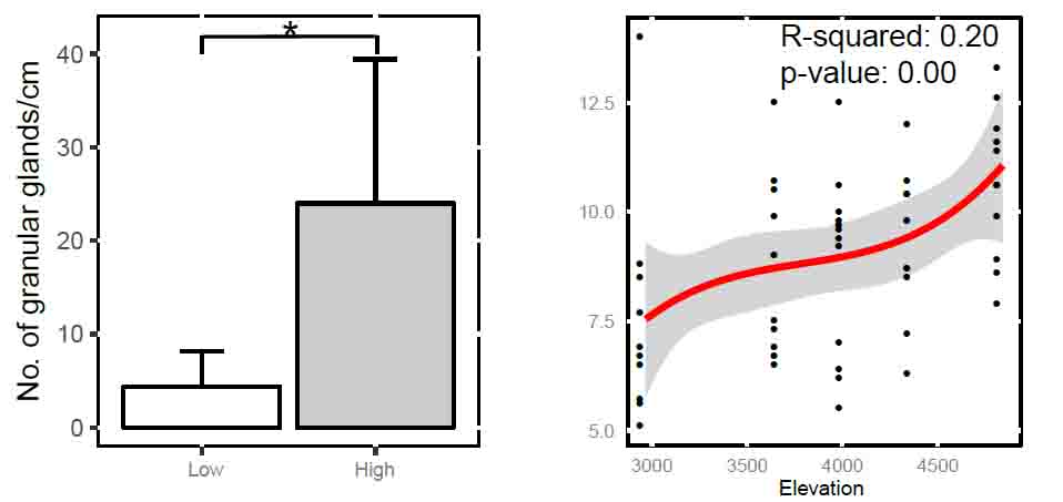 电子游戏app下载安装
