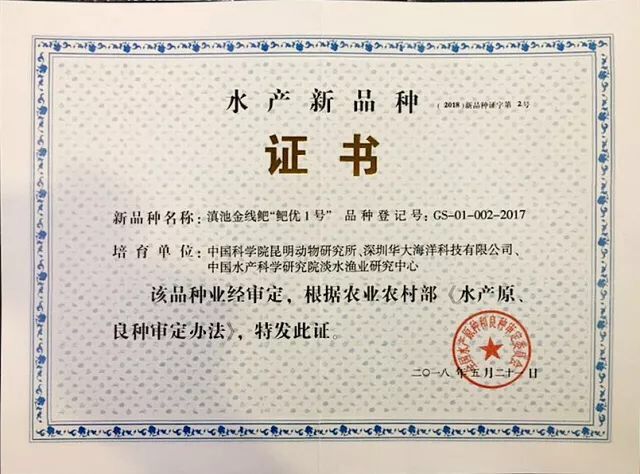 电子游戏app下载安装