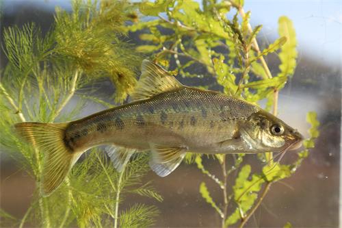 电子游戏app下载安装