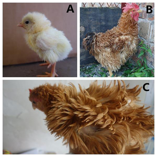 电子游戏app下载安装