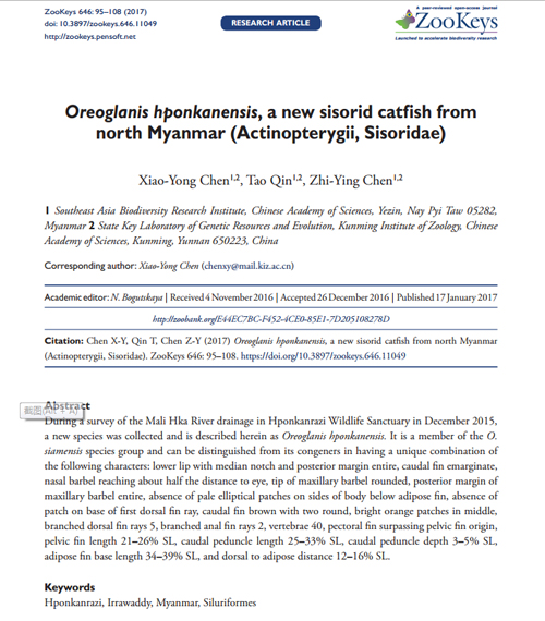 电子游戏app下载安装