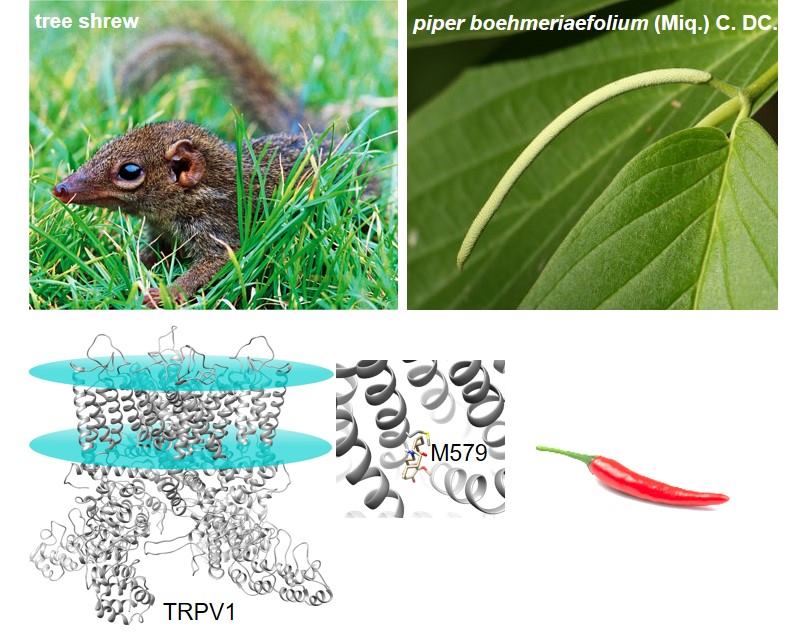 电子游戏app下载安装