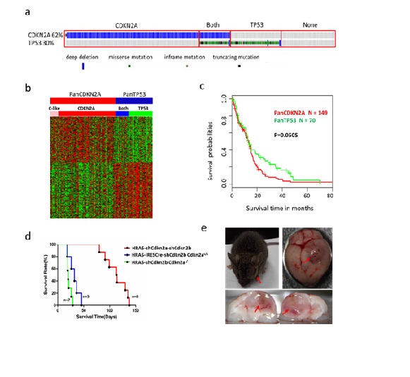 电子游戏app下载安装