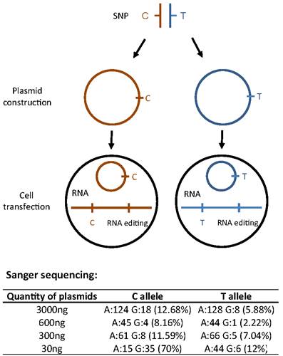 电子游戏app下载安装