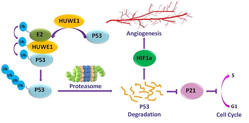 电子游戏app下载安装