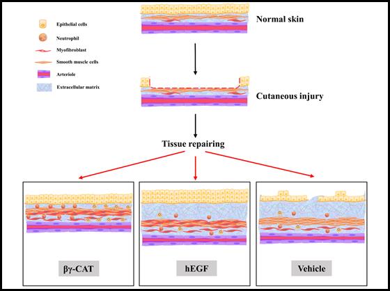 电子游戏app下载安装