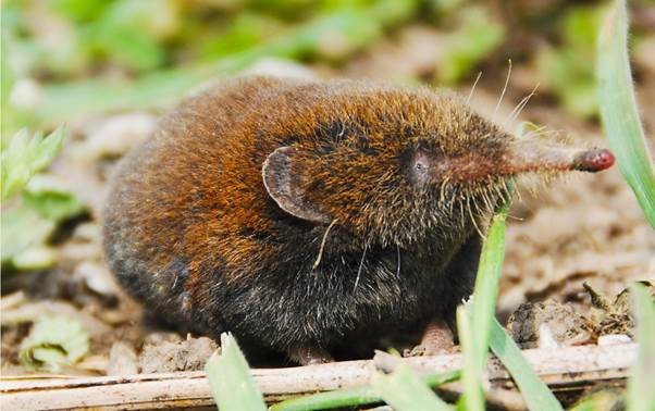 电子游戏app下载安装