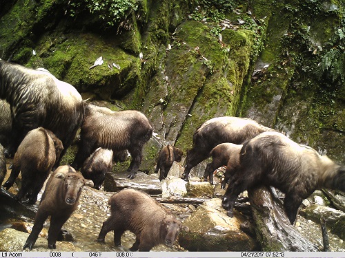 电子游戏app下载安装