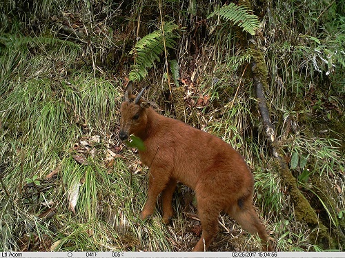 电子游戏app下载安装