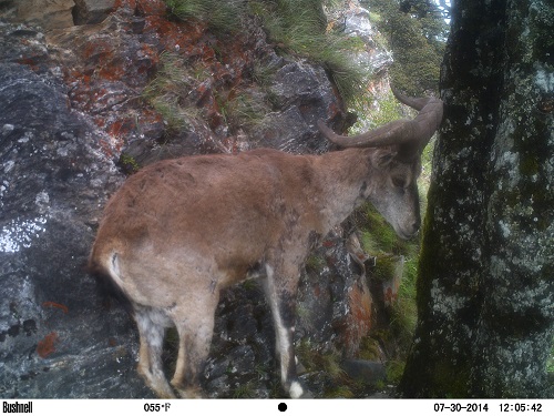 电子游戏app下载安装